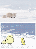 Umorismo -  Fun GIF Artista Kekeflipnote 