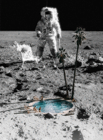 Umorismo -  Fun GIF Artista Nicolas Monterrat 