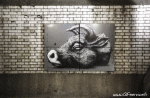 Umorismo -  Fun Street Art Graffiti Series 01 