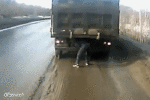 Humor -  Fun Transport LKW Unfall - Crash Fail 