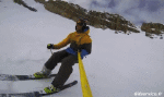 Humor -  Fun Sports Ski Free Ride Fun Win 