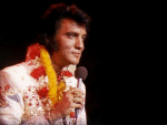 Multimedia Musik Rock USA Elvis Presley 