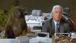 Multimedia Film Internazionale The Naked Gun 2½: The Smell of Fear 