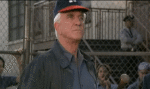 Multi Media Movies International The Naked Gun Video 33⅓ The Final Insult 