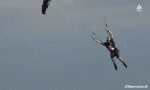 Umorismo -  Fun Sportivo Paracadutismo Fail 