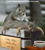 Humor -  Fun Animals Squirrels 01 