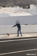 Humor - Fun Noticias Corona Virus 