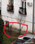 Humor - Fun Noticias Corona Virus 