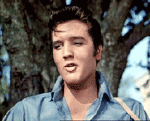 Multimedia Musik Rock USA Elvis Presley 