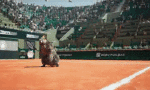 Tenis-Multimedia Kanäle - TV Frankreich France 3 Les Marmottes Sports Tenis