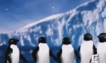 Multimedia Kanäle - TV Frankreich France 5 Jingle PUB Pingouins 2007 