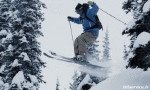 Humor - Fun Deportes Esquí Free Ride Fun Win 