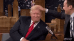 Humour - Fun PERSONNAGES Politique - International Donald Trump 