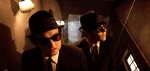 Multimedia V International Blues Brothers Video 