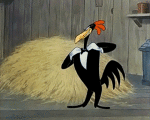 Multi Média Dessins Animés TV Cinéma Tex Avery The Hick Chick 