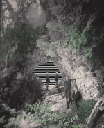 Humour - Fun GIF Artistes Matthieu Bourel 