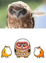 Humor -  Fun GIF Künstler Kekeflipnote 