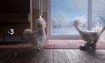 Multimedia Canales - TV Francia France 3 Les Poules - Hiver 
