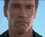 Multi Média Cinéma International Acteurs Divers Arnold Schwarzenegger 