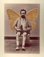 Umorismo -  Fun GIF Artista Matthieu Bourel 