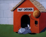Multimedia Cartoons TV Filme Tex Avery Happy Go Nutty 