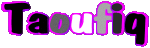 Prénoms MASCULIN - Maghreb Musulman T Taoufiq 