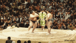 Humour - Fun Sports Sumo 