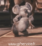 Humor -  Fun Tiere Koala 01 