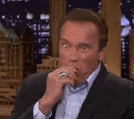 Multimedia V International Schauspieler Verschiedene Arnold Schwarzenegger 