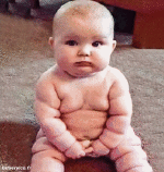 Humor - Fun Morphing - Parece como animal como amo como animal como amo 