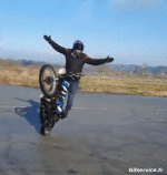 Humor - Fun Transporte Motocicletas Freestyle Fun Win 