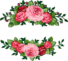 Messagi Inglese Happy Birthday Floral Sfondo trasparente 014 