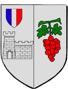 Banderas Francia Departamentos - Ciudades 69 LIMAS 