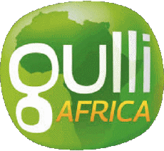 Multi Media Channels - TV France Gulli Logo 