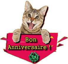 Messages French Bon Anniversaire Animaux 002 