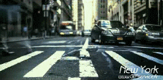 Humor - Fun Lugares - TimeLapse USA - New York 