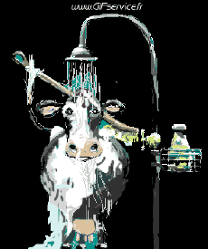 Humour - Fun Animaux Vaches Serie 01 