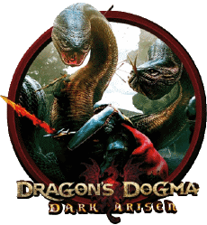 Multi Média Jeux Vidéo Dragon's Dogma Dark Arisen Icones 