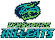 Sport Baseball U.S.A - Carolina League Lynchburg Hillcats 