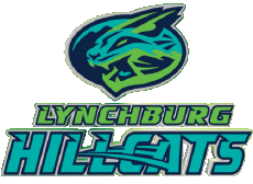 Sports Baseball U.S.A - Carolina League Lynchburg Hillcats 