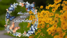 Messagi Tedesco Alles Gute zum Geburtstag Schmetterlinge Sfondo animato 004 