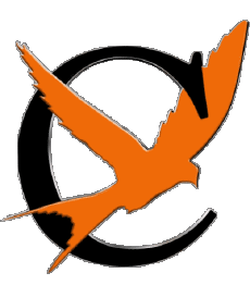 Sportivo Calcio  Club Francia Ile-de-France 75 - Paris Camillienne Sp. 12Eme 