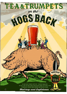 Boissons Bières Royaume Uni Hogs Back 