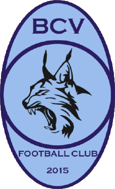 Sport Fußballvereine Frankreich Grand Est 88 - Vosges Bulgnéville Contrex Vittel FC 