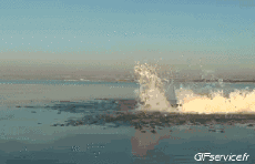 Humor -  Fun Transport Jet Ski Fly-boarding Fun - Win 