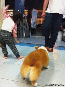 Humor -  Fun MENSCHEN Lustige Tänzer Serie 01 