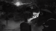 Humor -  Fun Animals Bat 01 