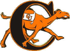 Sport N C A A - D1 (National Collegiate Athletic Association) C Campbell Fighting Camels 