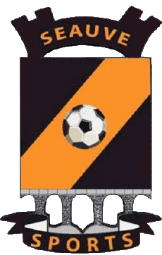 Deportes Fútbol Clubes Francia Auvergne - Rhône Alpes 43 - Haute Loire Séauve Sport 