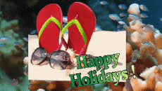 Messages English Happy Holidays Animated Background 006 